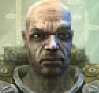 termit termit
