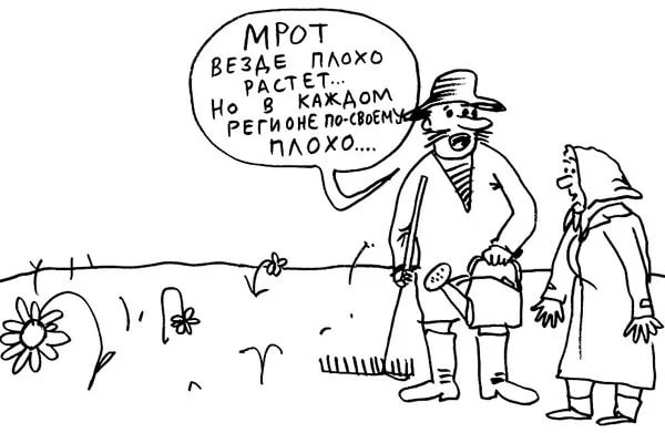 Лучше меньше, но наверняка